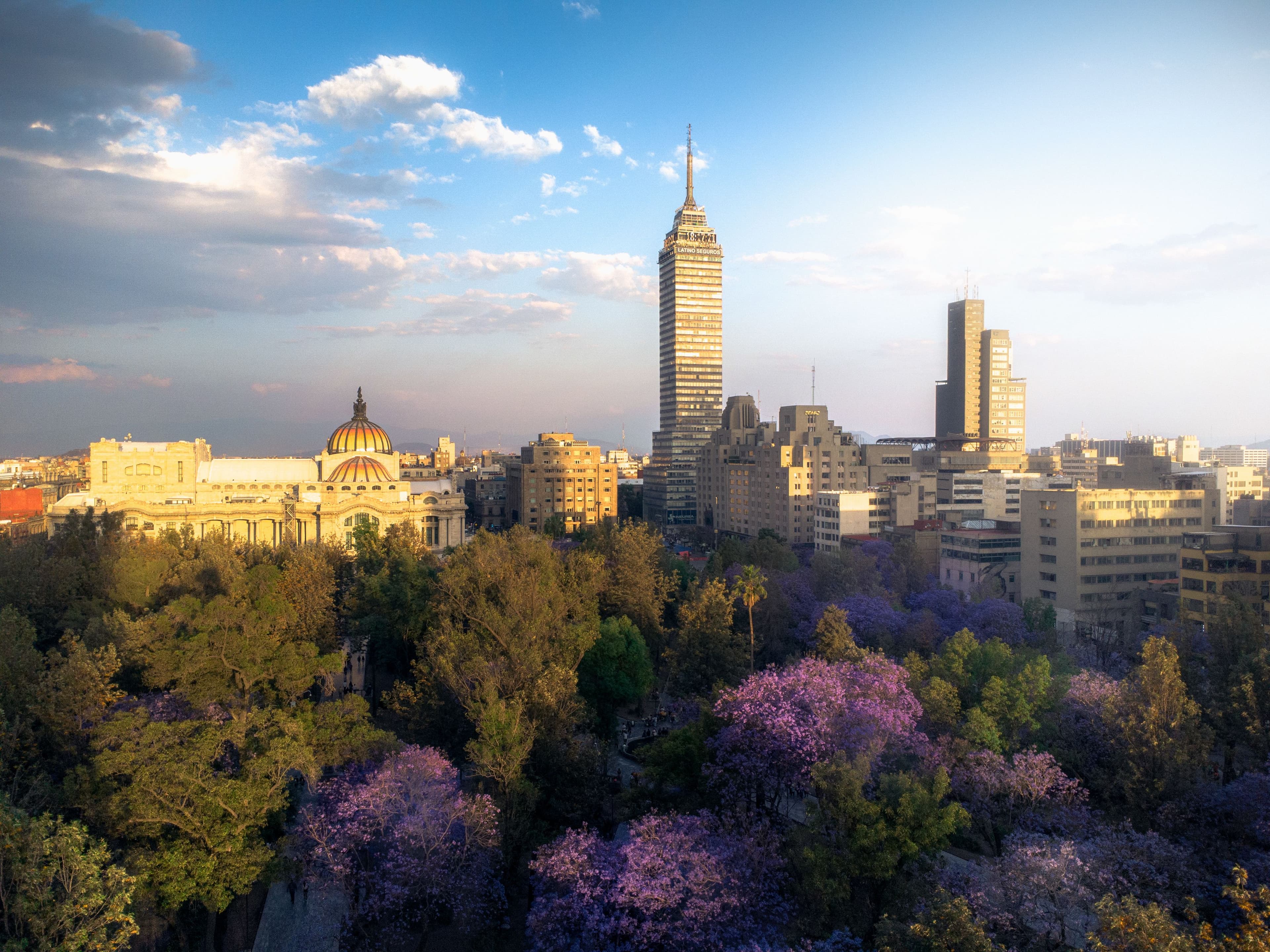 Horizonte de Ciudad de México al atardecer, con el Palacio de Bellas Artes y la Torre Latinoamericana entre jacarandas